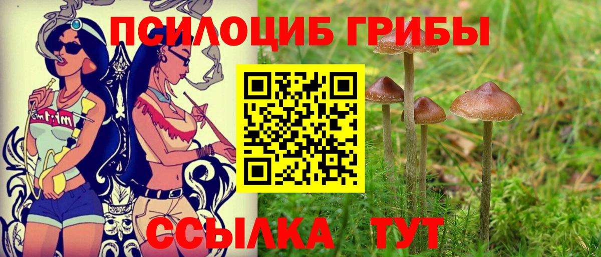 Псилоцибиновые грибы прущие грибы Красноуфимск
