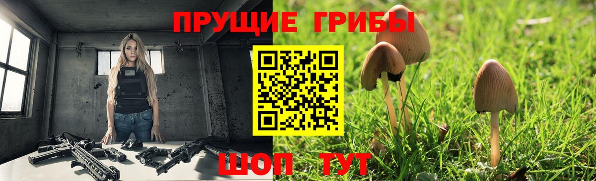 Красноуфимск  Галлюциногенные грибы Psilocybe  Вход с VPN  Галлюциногенные грибы Cubensis 
